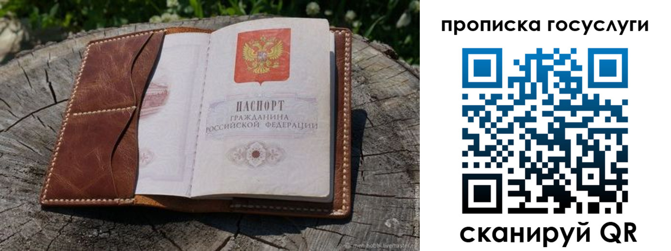 прописка для школы в Зарайске